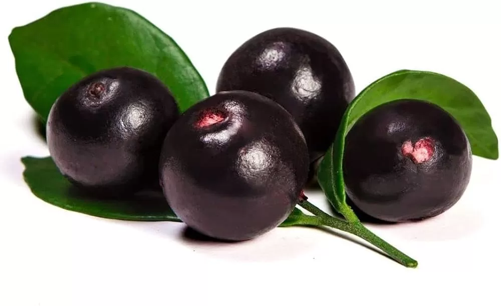 Acai berries